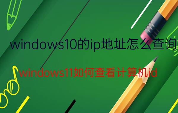 windows10的ip地址怎么查询 windows11如何查看计算机id？